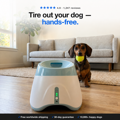 Fetch Catch™ Ball Launcher