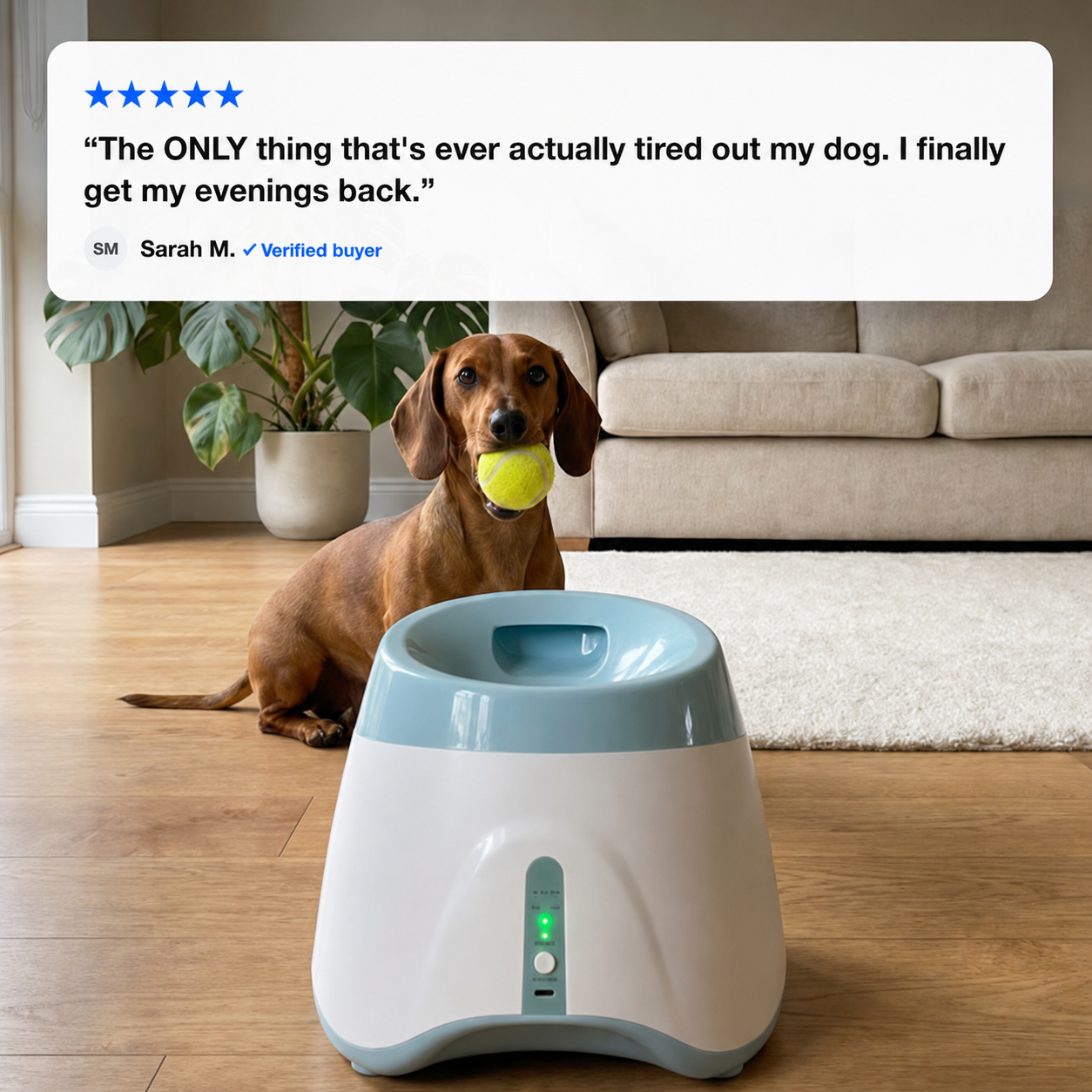 Fetch Catch™ Ball Launcher