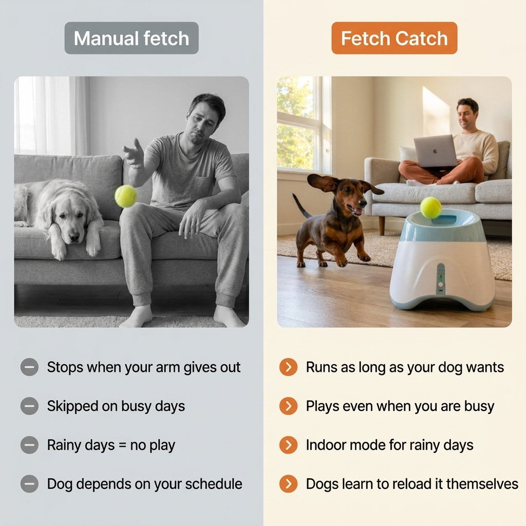 Fetch Catch™ Ball Launcher