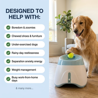 Fetch Catch™ Ball Launcher